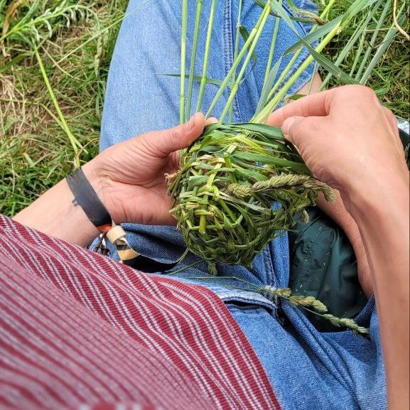 Musefire-Ticket 2026